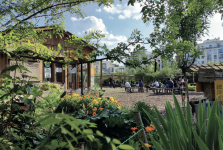 ETIENNE SAVEY - SAVEY ETIENNE